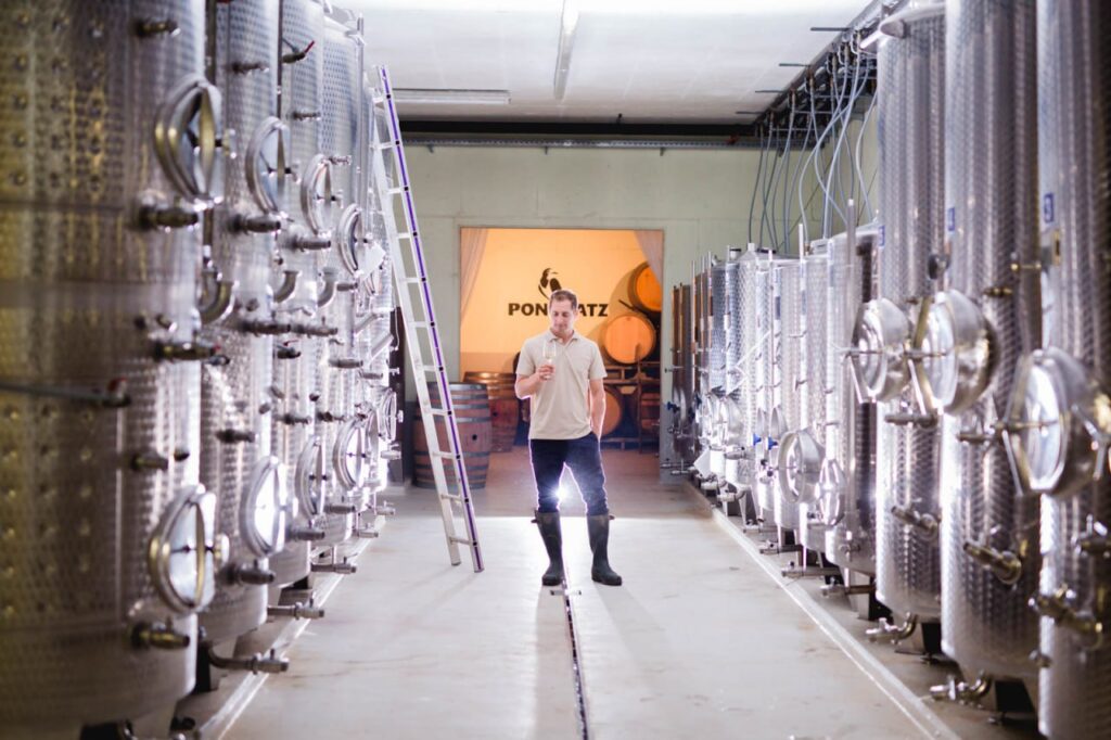 Sauvignon Blanc: Eine Reise in die Welt der Pongratz-Weine aus der Südsteiermark Weingut Pongratz - hervorragender Sauvignon Blanc