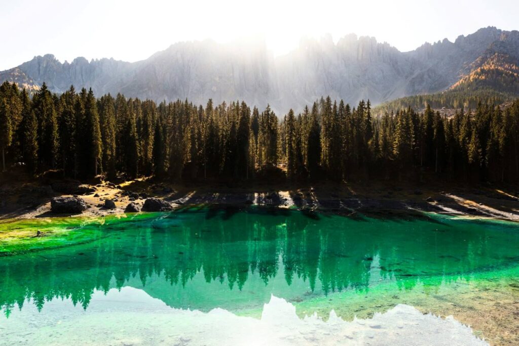 Grüner See – Naturschönheit, Wirtschaftsfaktor und touristisches Juwel Grüner See: was macht ihn so besonders