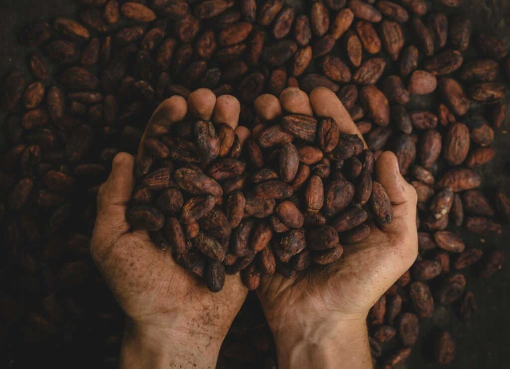 Zotter Schokolade – Nachhaltiger Luxus aus Österreich mit globaler Strahlkraft Was macht die Zotter Schokolade so außergewöhnlich?