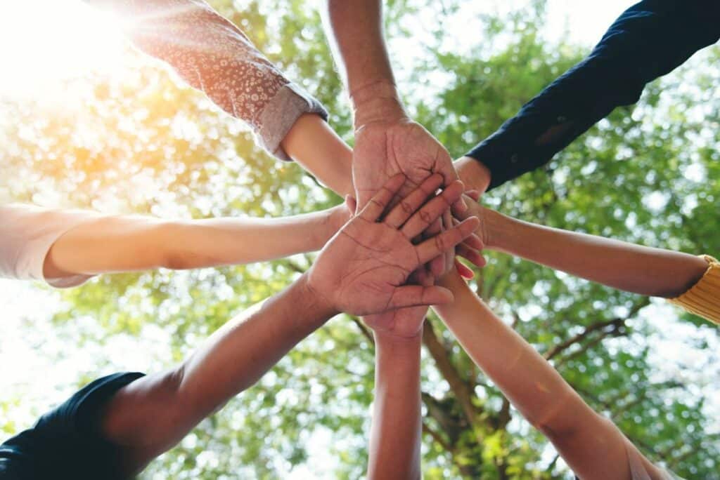 Vertrauensalgorithmen verstehen