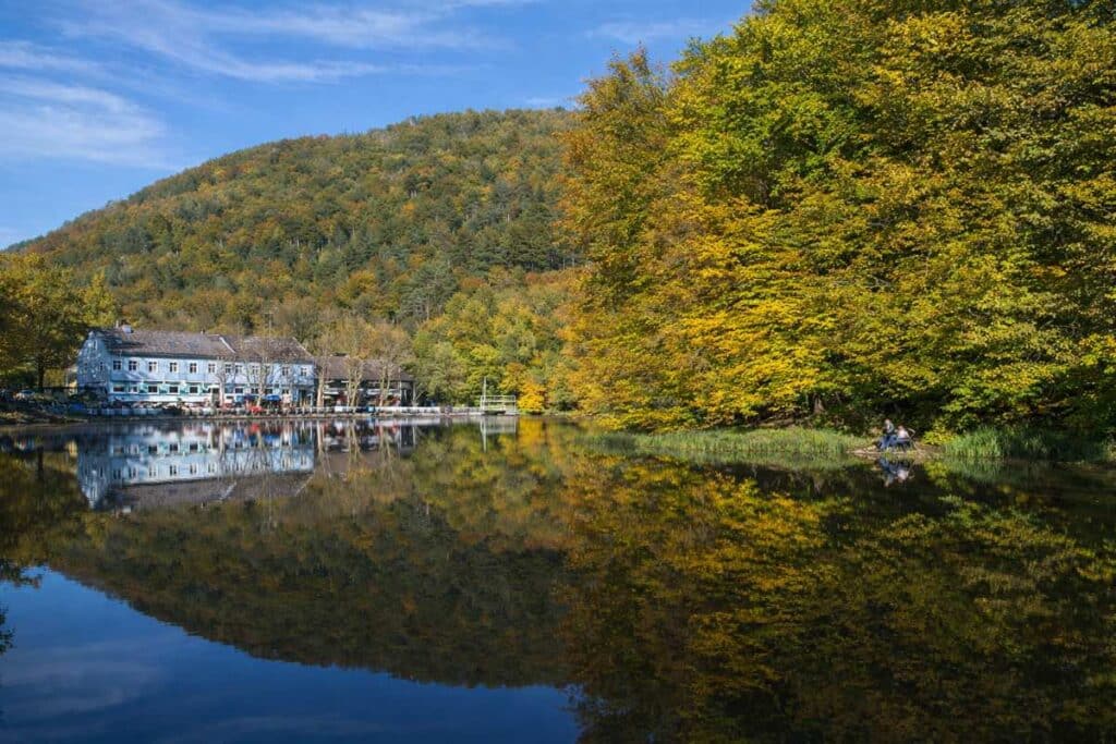 Was muss man über den Thalersee bei Graz wissen?